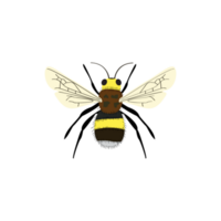 bumblebee, Golden honeybee, bumble bee on yellow, transparent background PNG