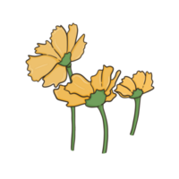 de gul blommor png