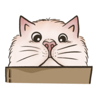 A Suspicious Cat png