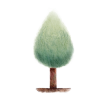 ein Kiefer Baum png