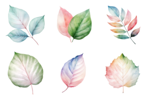 colorful watercolor pastel leaves elements collection isolated on transparent background. ai generated png