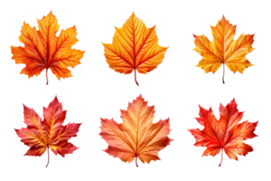 Collection of autumn leaves isolated on transparent background. ai generated png