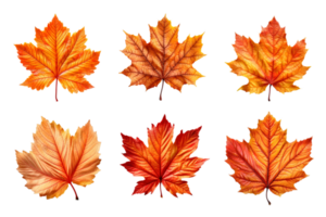 Collection of autumn leaves isolated on transparent background. ai generated png