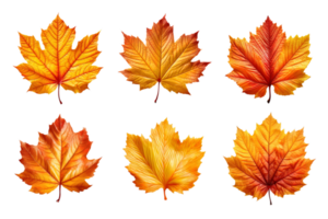 Collection of autumn leaves isolated on transparent background. ai generated png