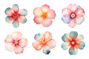 Watercolor flowers set. Hand-painted flower illustrations bundle. Isolated on transparent background. ai generated png