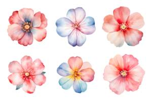 aguarela flores definir. pintado à mão flor ilustrações pacote. isolado em transparente fundo. ai gerado png