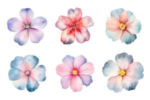 Watercolor flowers set. Hand-painted flower illustrations bundle. Isolated on transparent background. ai generated png