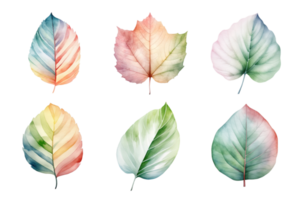 colorful watercolor pastel leaves elements collection isolated on transparent background. ai generated png