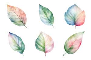 coloré aquarelle pastel feuilles éléments collection isolé sur transparent Contexte. ai généré png