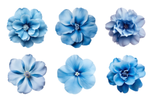 Auswahl von verschiedene Blau Blumen isoliert auf transparent Hintergrund. ai generiert png