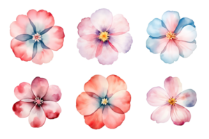 Watercolor flowers set. Hand-painted flower illustrations bundle. Isolated on transparent background. ai generated png