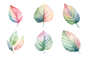 colorful watercolor pastel leaves elements collection isolated on transparent background. ai generated png