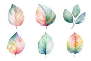 colorful watercolor pastel leaves elements collection isolated on transparent background. ai generated png