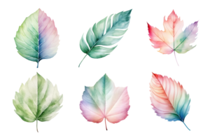 colorful watercolor pastel leaves elements collection isolated on transparent background. ai generated png