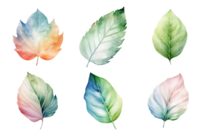 colorful watercolor pastel leaves elements collection isolated on transparent background. ai generated png