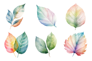 colorful watercolor pastel leaves elements collection isolated on transparent background. ai generated png