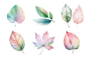 coloré aquarelle pastel feuilles éléments collection isolé sur transparent Contexte. ai généré png