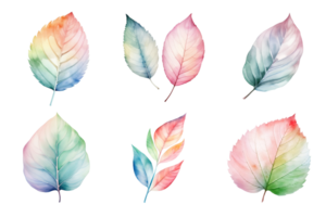 coloré aquarelle pastel feuilles éléments collection isolé sur transparent Contexte. ai généré png