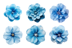 Selection of various blue flowers isolated on transparent background. ai generated png