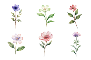 Beautiful watercolor floral hand-drawn collection, wild field flowers. ai generated png