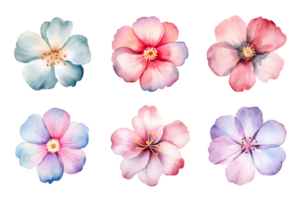 Watercolor flowers set. Hand-painted flower illustrations bundle. Isolated on transparent background. ai generated png