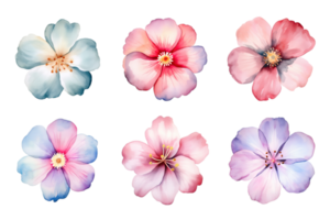 Aquarell Blumen Satz. handgemalt Blume Abbildungen bündeln. isoliert auf transparent Hintergrund. ai generiert png