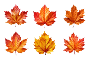 Collection of autumn leaves isolated on transparent background. ai generated png