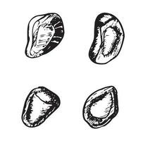 Pomegranate seeds vector graphic illustration set. Detailed botanical sketch art
