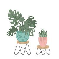 Hand drawn indoor house plant collection. Pots and shelves vector