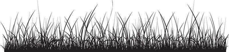 Vector monochrome grass. Curb from the shadows of the floods. Field silhouette