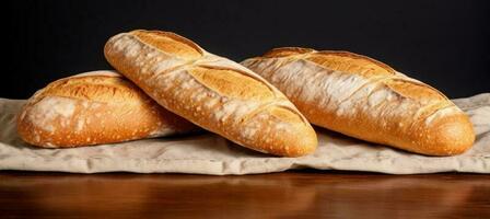 French bread isolated photo