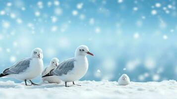 Snow geese on snow background with empty space for text photo