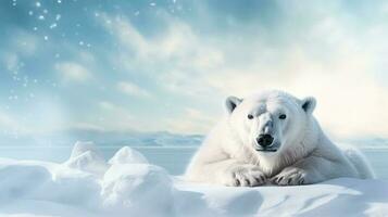 Polar bear on snow background with empty space for text photo