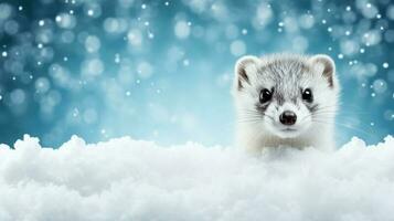 Ermine on snow background with empty space for text photo