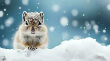 Snowy chipmunk on snow background with empty space for text photo