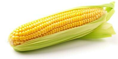 Corn with leaves and earns isolated photo