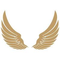 Bird wings illustration logo. vector