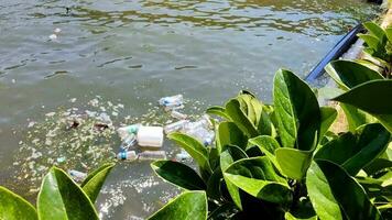 Marin des ordures flottant sur mer l'eau images. video