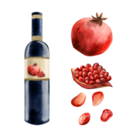 Watercolor pomegranate red wine bottle with fruits, pieces and seeds illustration png