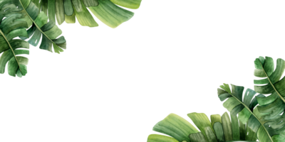 hoeken tropisch bladeren horizontaal banier waterverf sjabloon met palm boom. oerwoud monstera realistisch ontwerp voor kaarten, bruiloft partij uitnodigingen, opslaan de datum png