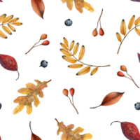 Yellow and red fall leaves and berries seamless pattern. Autumn botanical watercolor background illustration with hand drawn plants for fabrics and textiles png