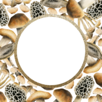 Marrone commestibile funghi oro il giro telaio modello con confine acquerello illustrazione per autunno foresta disegni, bosco tema carte e ricette png