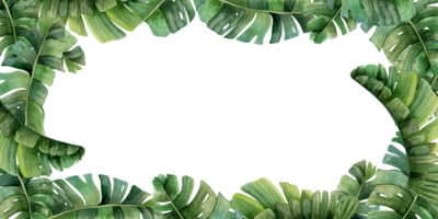 Green tropical horizontal banner watercolor template with palm leaves. Jungle monstera realistic design for cards, wedding party invitations, save the date png