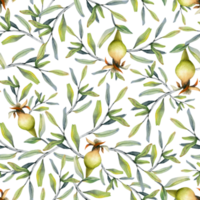 vattenfärg granatäpple växande frukt och grenar sömlös mönster för tyger, jewish rosh hashanah hälsning kort, botanisk blommig mönster png