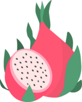 dragon fruit elements, Summer fruits. png