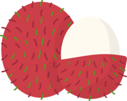 rambutan elementos, verão frutas. png