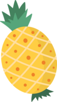 ananas elementen, zomer vruchten. png