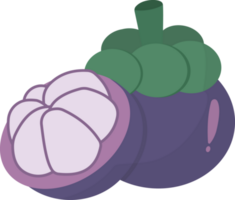 mangostán elementos, verano frutas png