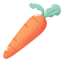 Fresh Healthy Carrot png