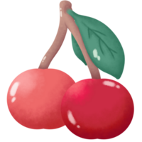 Twin Red Cherrys png